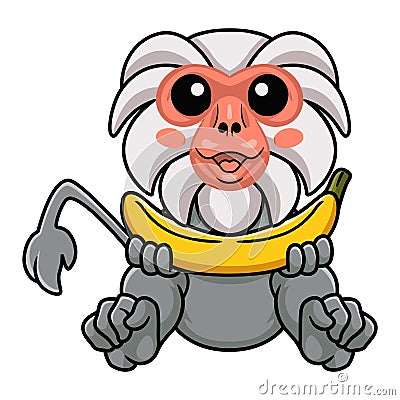 Cute little hamadryad monkey cartoon holding a banana Vector Illustration