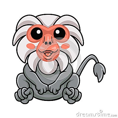 Cute little hamadryad monkey cartoon sitting Vector Illustration