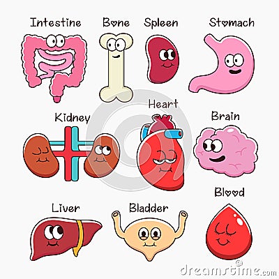 Illustration of cute organs cartoon. Symbol icon concept isolated premium vector Vector Illustration