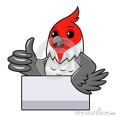 Cute red crested cardinal bird cartoon giving thumb up Vector Illustration