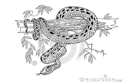 Illustration of a dangerous anaconda snake on tree branch. Black and white page for coloring book. Drawing for print, logo, tattoo Vector Illustration
