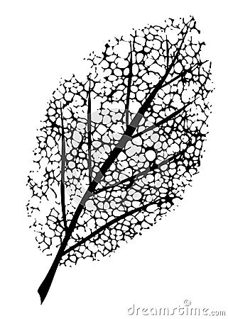 dead leaf symbol of grief Cartoon Illustration