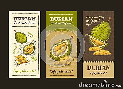 illustration in design packing for durian fruit, template, moc up Cartoon Illustration