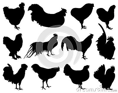 Illustration of different roosters Vector Illustration