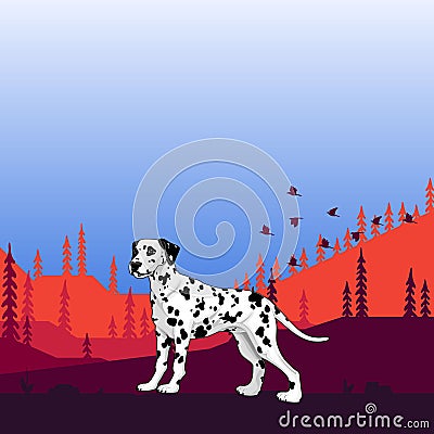 Illustration. Dog pedigree Dalmatian on the hunt, cartoon. Vector Illustration