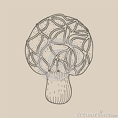 Illustration of drawing mushroom icon Stock Photo