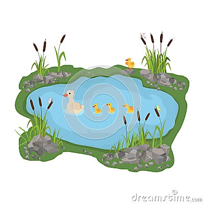 illustration of a duck and ducklings. Mother duck swims in the lake with small ducklings around grass. Vector Illustration