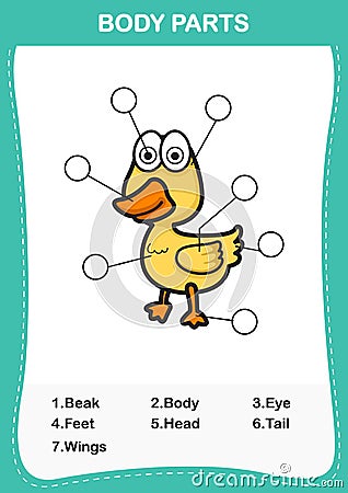 Illustration of duck vocabulary part of body Vector Illustration