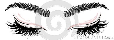 Illustration of eye makeup and brow on white background Vector Illustration