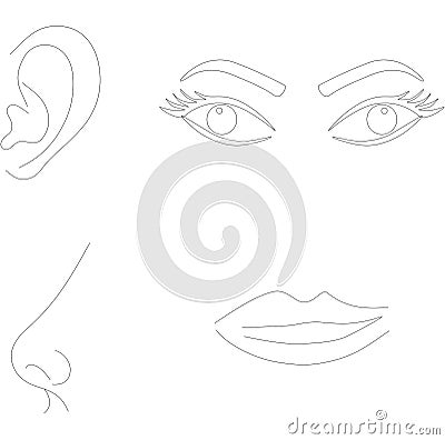 Senses, eyes ear nose lips illustration Cartoon Illustration