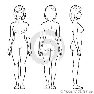 4 Illustration of female figure Vector Illustration