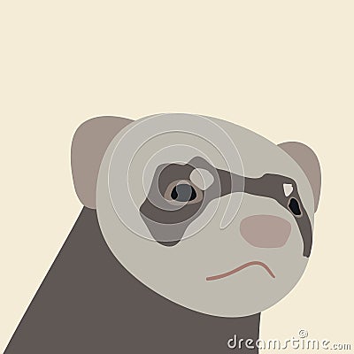 Ferret head in flat style Stock Photo