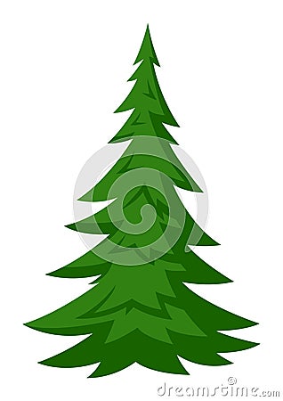 Illustration of fir tree. Forest or park landscape element. Seasonal image. Vector Illustration