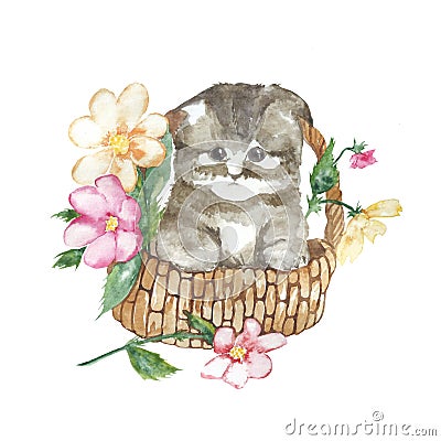 Illustration Fluffy kitten in a basket with flowers. Watercolor and liner Stock Photo
