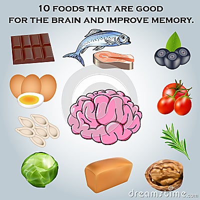 10 foods that are good for the brain and improve me Vector Illustration