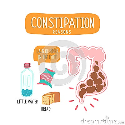 Low-fiber foods. Large intestine with fecal masses Vector Illustration