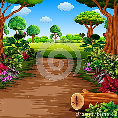 The forest with footpath and beautiful plants both side Vector Illustration