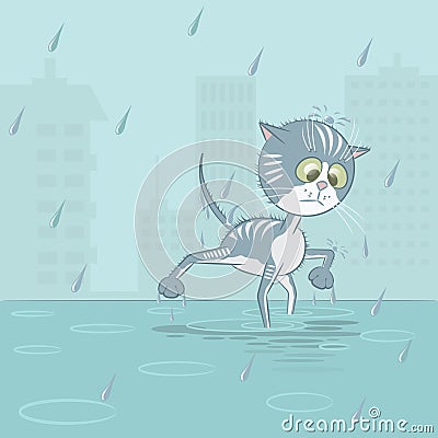 Illustration in the form of a wet cat Stock Photo