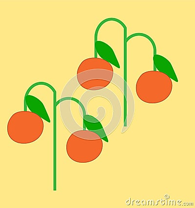 illustration of four orange oranges Vector Illustration