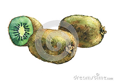 Illustration of fresh fruit whole and slice kiwis. Stock Photo