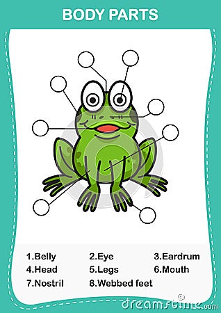 Illustration of frog vocabulary part of body Vector Illustration