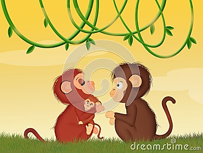 Funny monkeys in the jungle Stock Photo