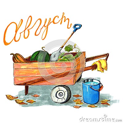 Illustration garden cart with vegetables and shovel,bucket,lettering-august Cartoon Illustration