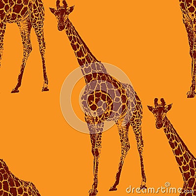 Illustration of a giraffe. seamless animal pattern Vector Illustration