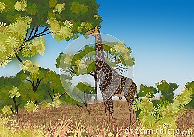 Illustration of giraffe in the wilderness Cartoon Illustration