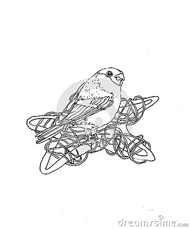 illustration in the graph. monochrome. a bird and a pentagram made of branches Cartoon Illustration