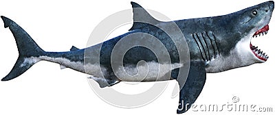 Great White Shark Attack Isolated Stock Photo