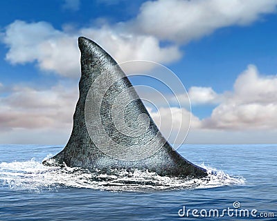 Great White Shark Fin, Ocean, Sea Stock Photo