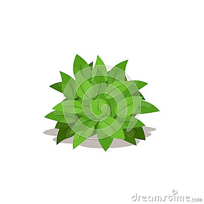 Illustration of green bush. Cartoon of decoration plants. Vector Illustration