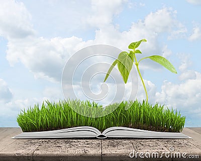 Illustration of green landscape with sprout covered grass on an open book Stock Photo