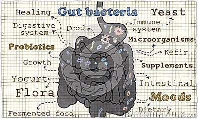 Illustration about Gut Bacteria Stock Photo