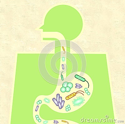 Illustration of gut microbiome Stock Photo