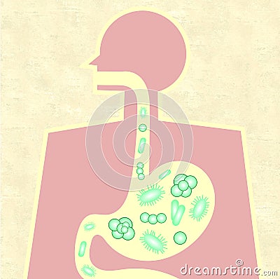 Illustration of gut microbiome Stock Photo