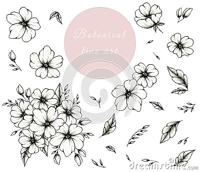 Hand drawn ink botanical line art collection isolated on white, vintage set of floral elements great for designs, black ink sketch Stock Photo