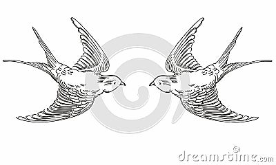 Illustration of hand drawn sketch flying contour birds. Black and white original realistic swallows Vector Illustration