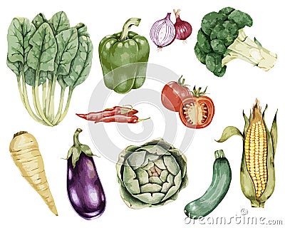 Illustration of Hand drawn vegetable collection Stock Photo