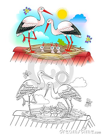 Illustration of happy stork family with mother, father and babies in the nest. Colorful and black and white page for coloring book Vector Illustration