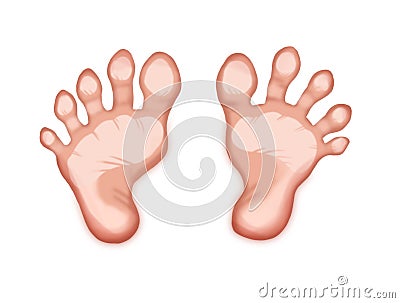 Healthy female feet Stock Photo