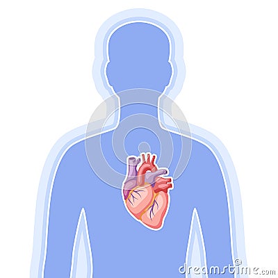 Illustration with heart internal organ. Human body anatomy. Health care and medical image. Vector Illustration