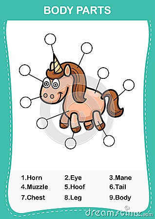 Horse vocabulary part of body,Write the correct numbers of body parts Vector Illustration