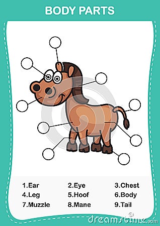 Illustration of horse vocabulary part of body Vector Illustration