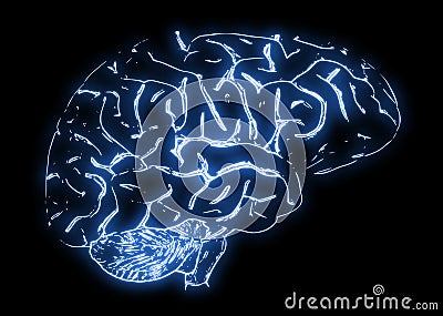 Illustration of a Human Brain Stock Photo