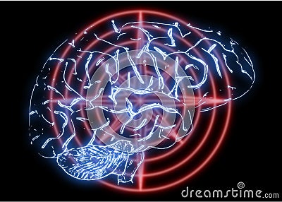 Illustration of a Human Brain Stock Photo