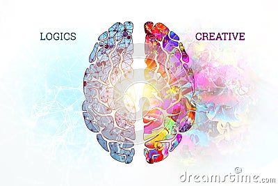 Illustration of a human brain, top view. Different halves of the human brain. The concept of the hemisphere of the mogah, the left Stock Photo