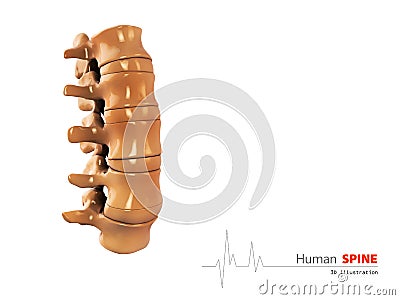 Illustration of Human spine abstract scientific background Stock Photo