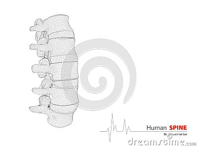 Illustration of Human spine abstract scientific background Stock Photo